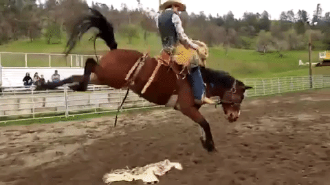1760020499358.gif