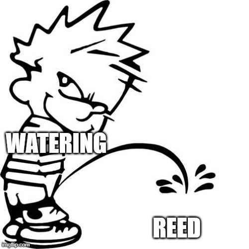 1760657013634.jpeg