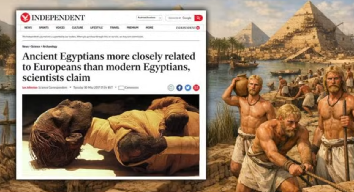 1769013446532.png
