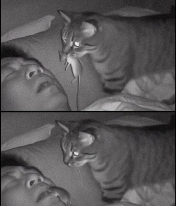 1769877878457.png