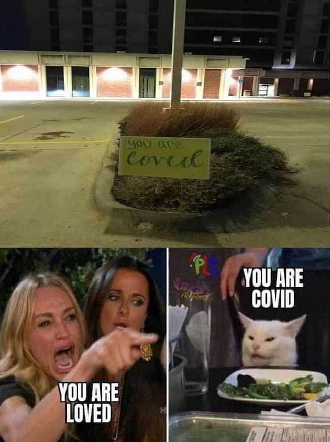 1769987863953.png