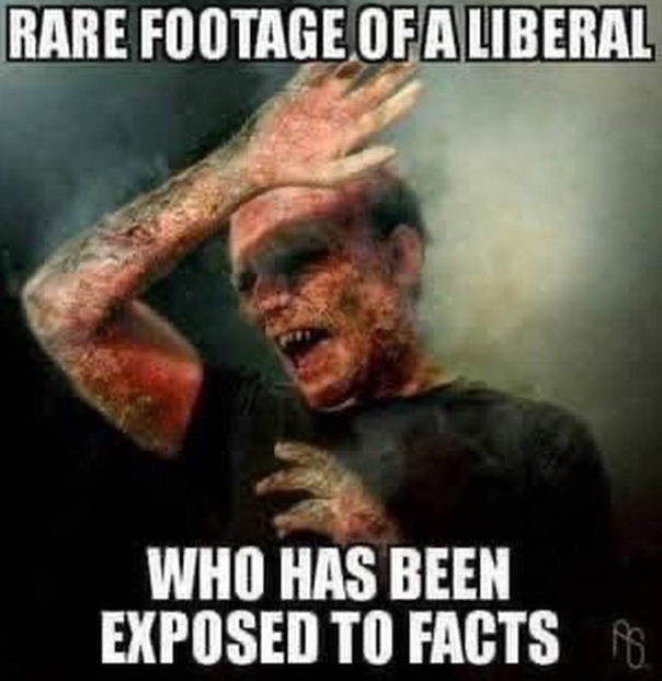1773637996616.png