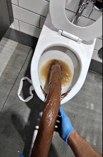 1775090857831.png
