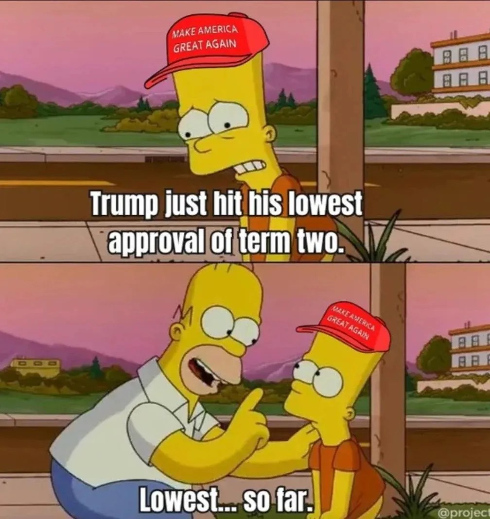 1776432694432.jpeg
