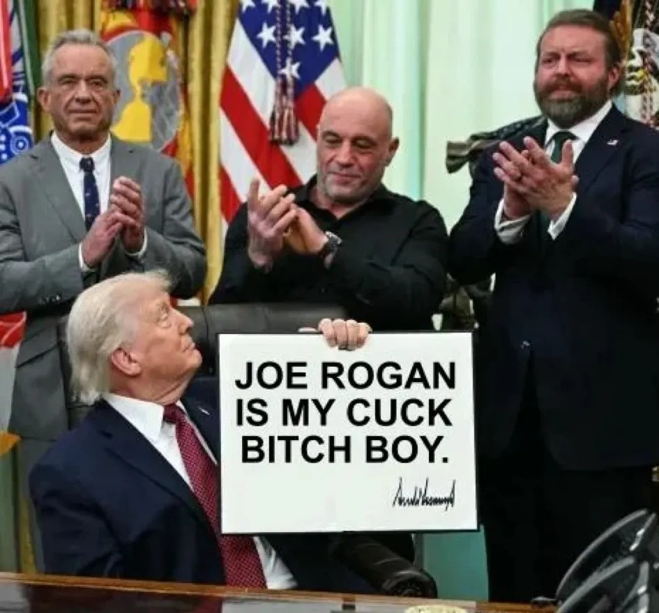 1776746143856.jpeg