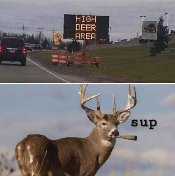 1777299501158.png