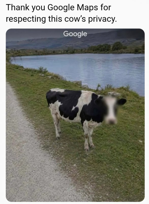 1778429419725.png