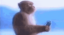 1778937483973.png
