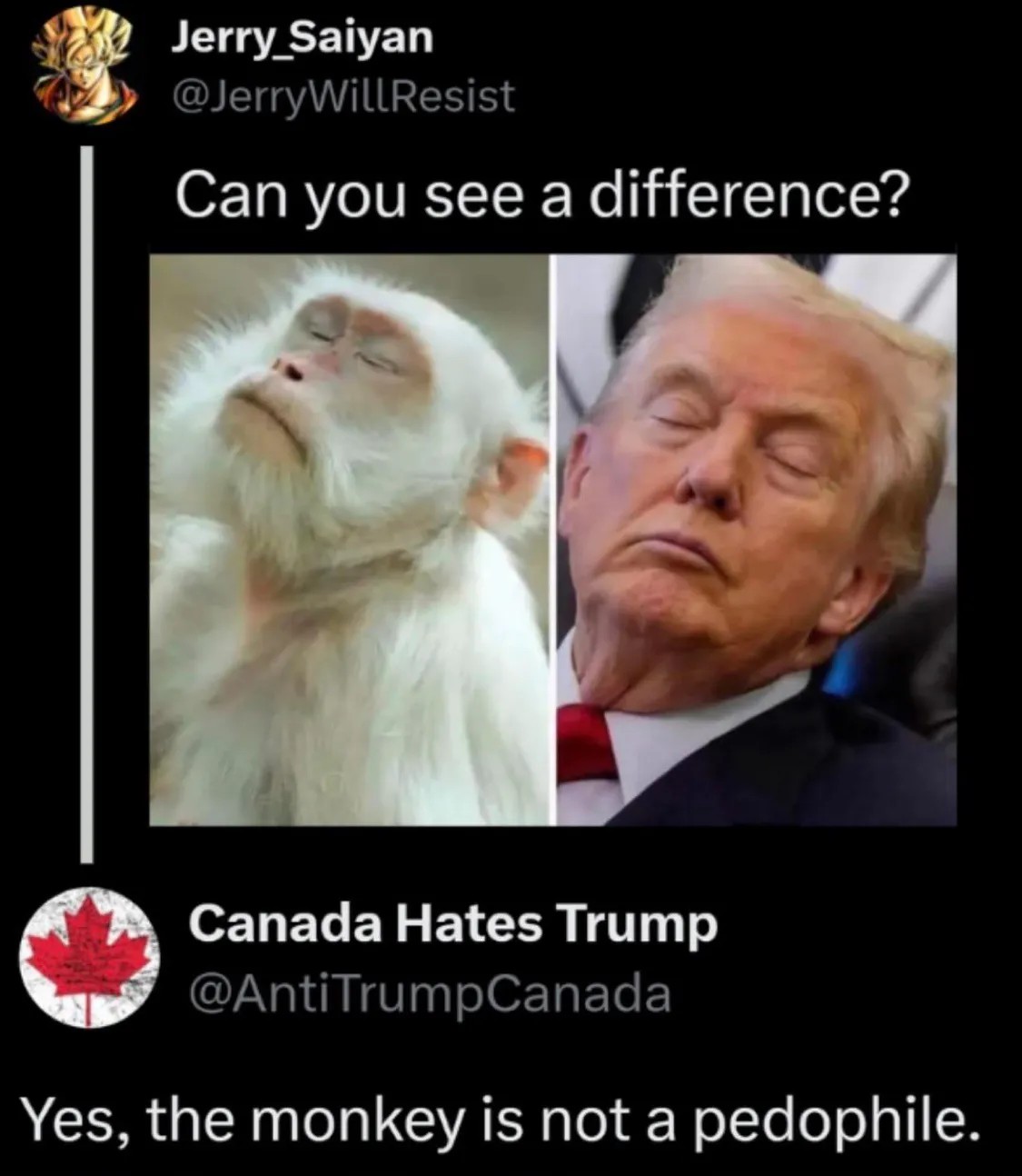 1779254825536.jpeg