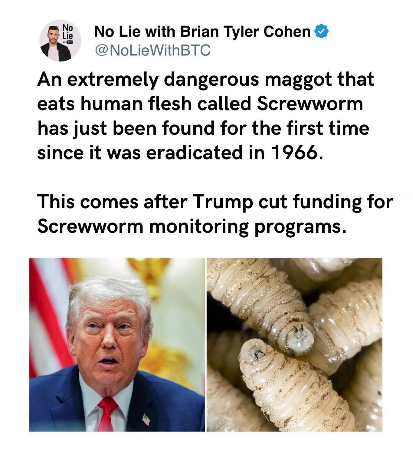 1780722237249.jpeg