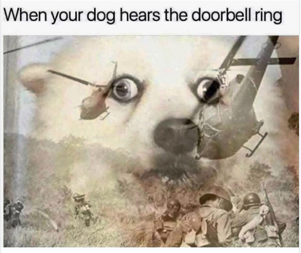 1781445805647.png