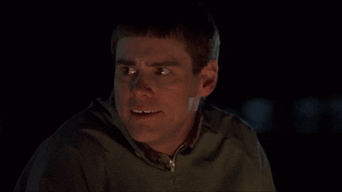1781445865333.gif