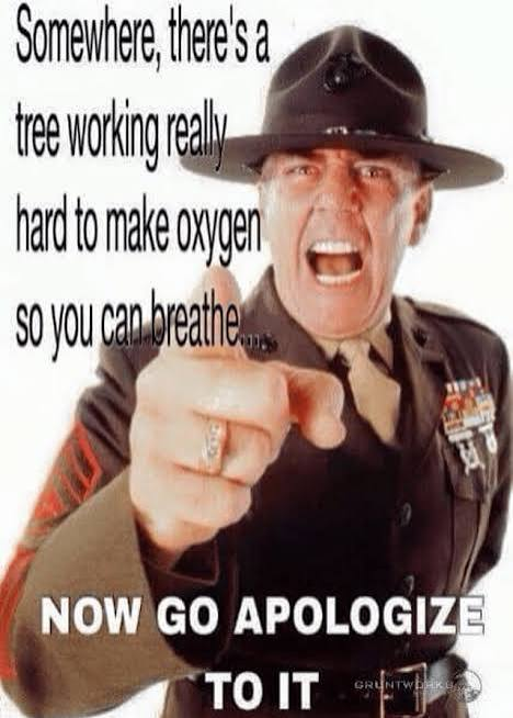 1783350351123.png