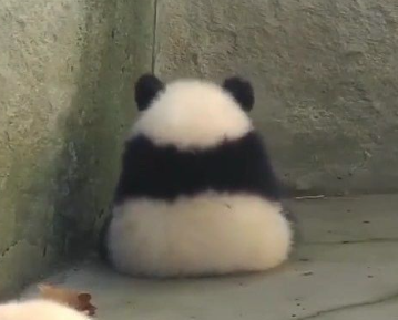 1783512161135.png