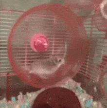 1784413433799.gif