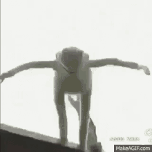 1786220999809.gif