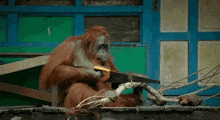 1786367903209.gif