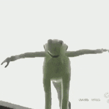 1786836449443.gif