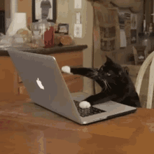 1787778331355.gif