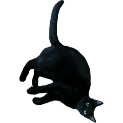 1788393013452.png