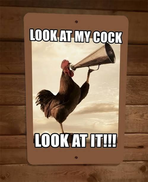1788455666935.png
