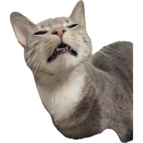 1790986719654.png