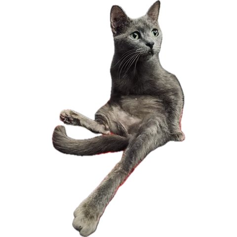 1791158180910.png