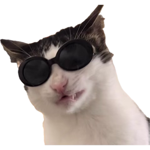 1791329401460.png