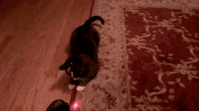 1792540447820.gif