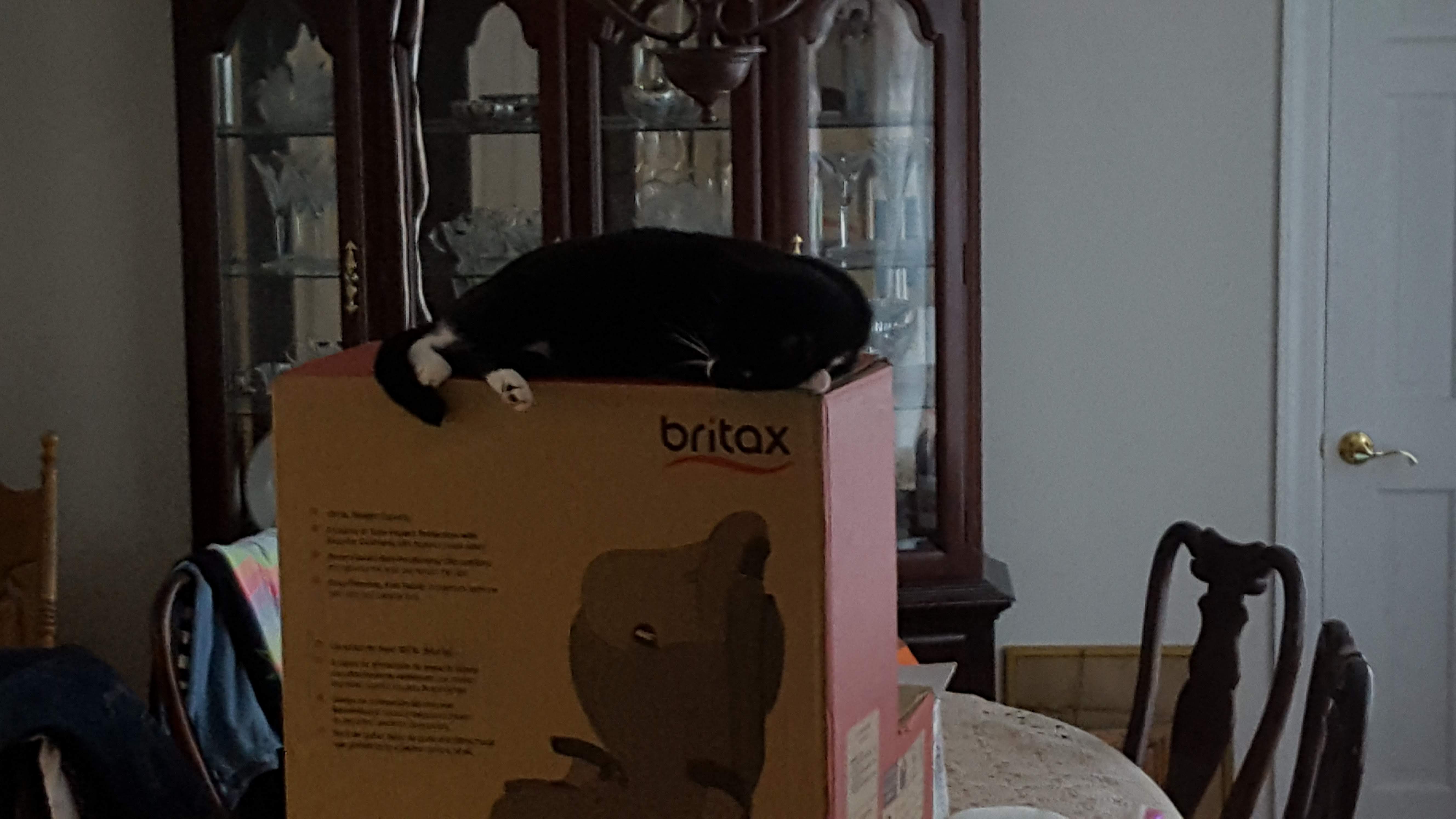 20190904_181907.jpg
