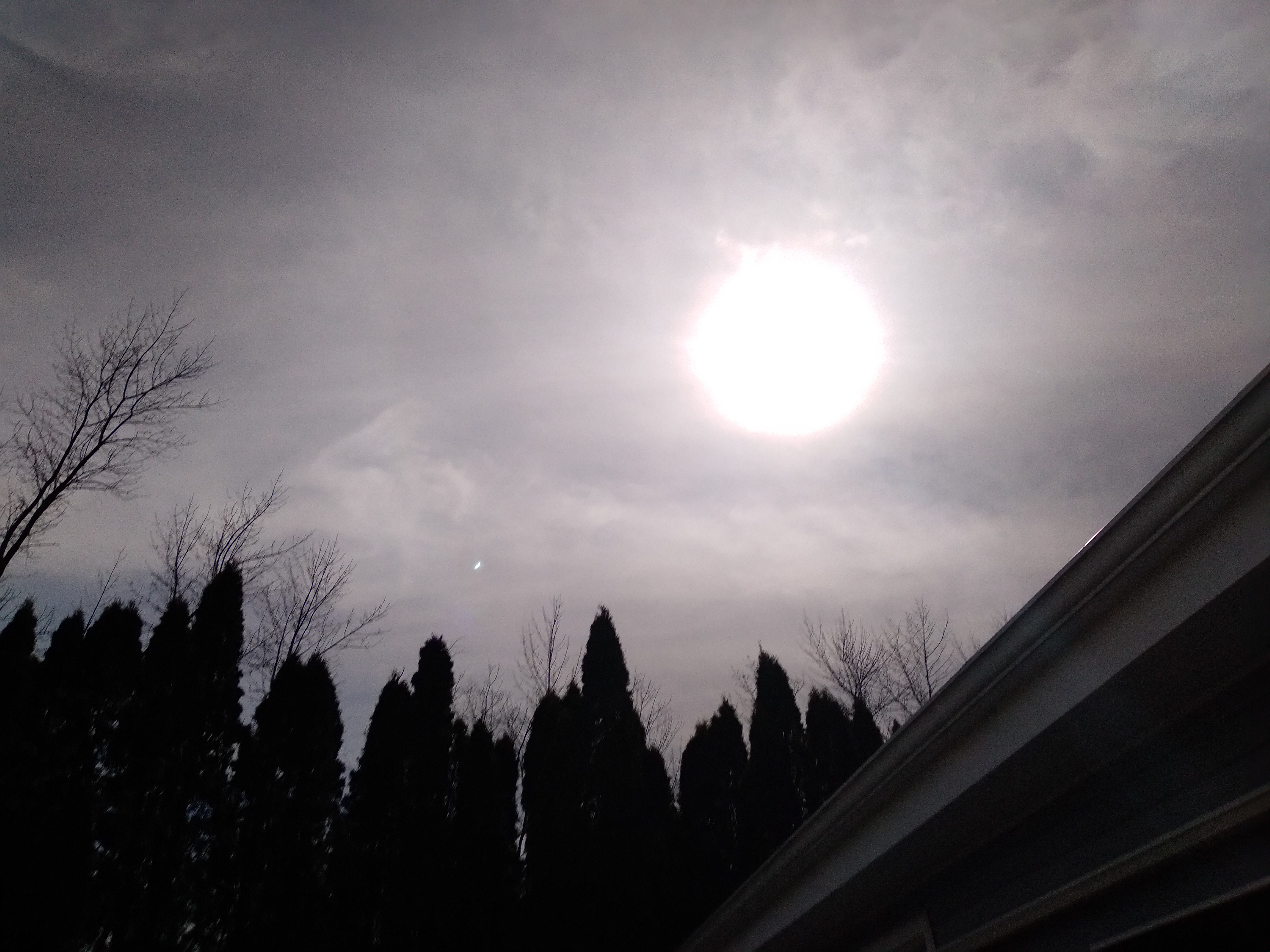 20240408_152508.jpg