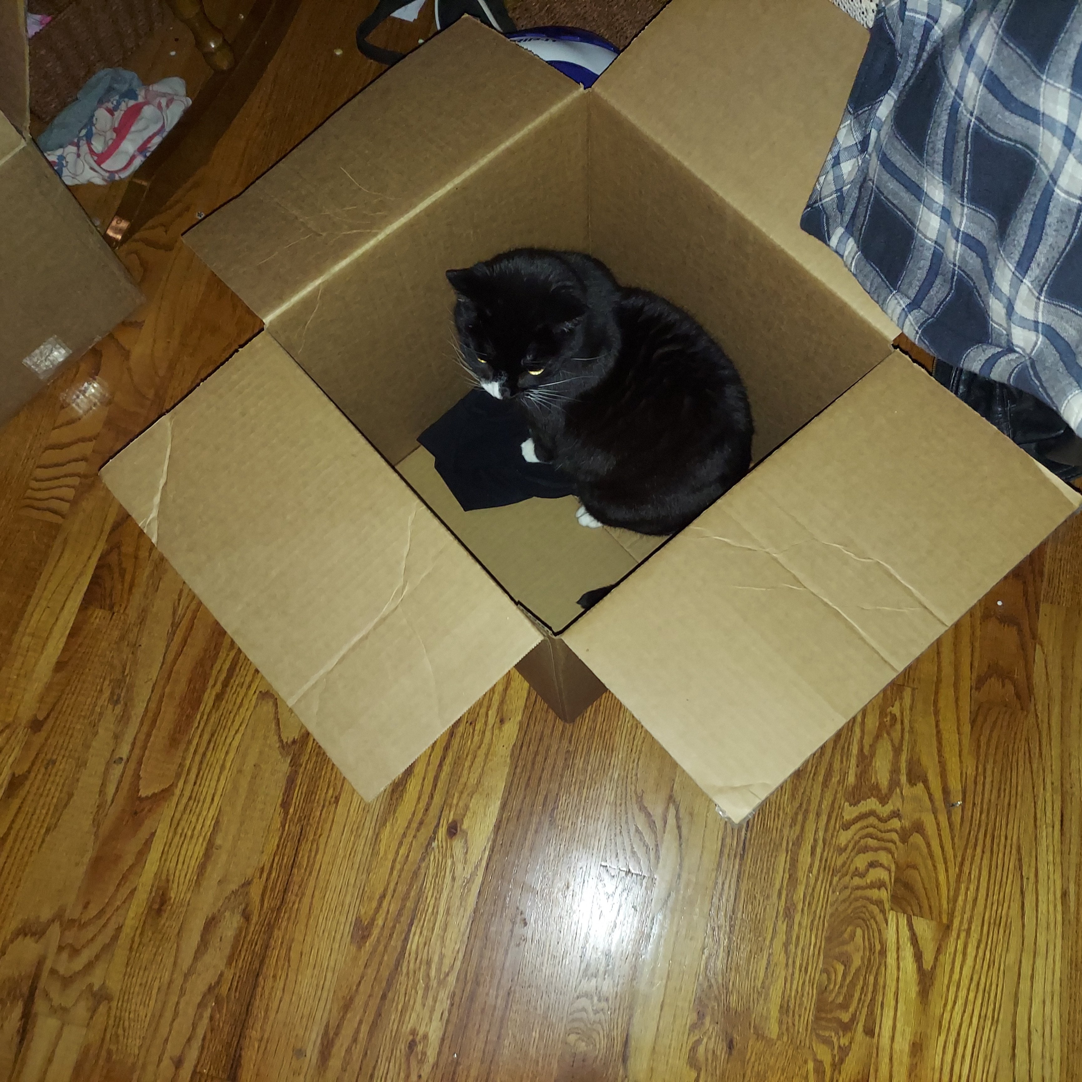20250113_173112.jpg