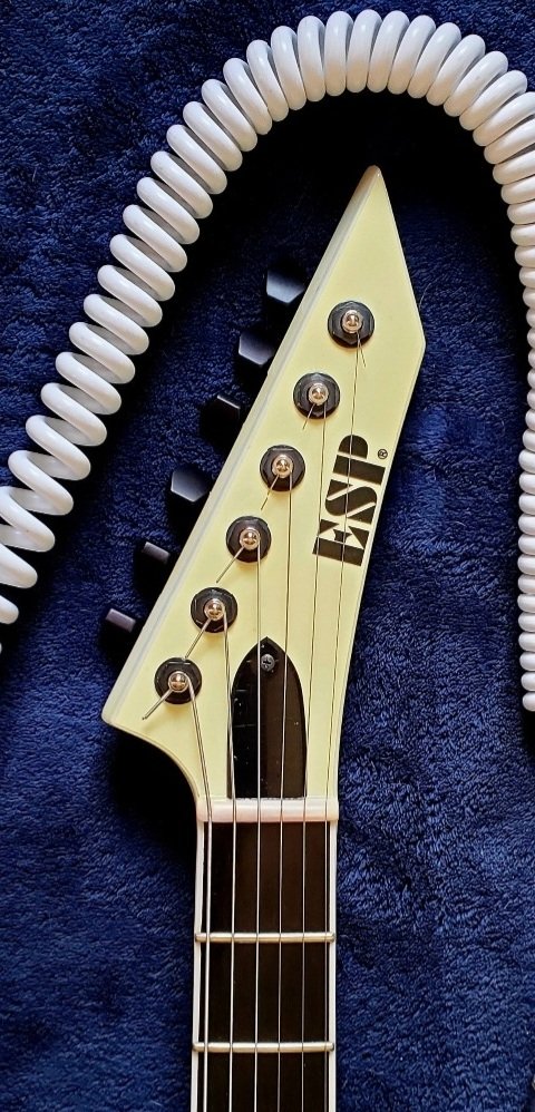 20250419_141544.jpg