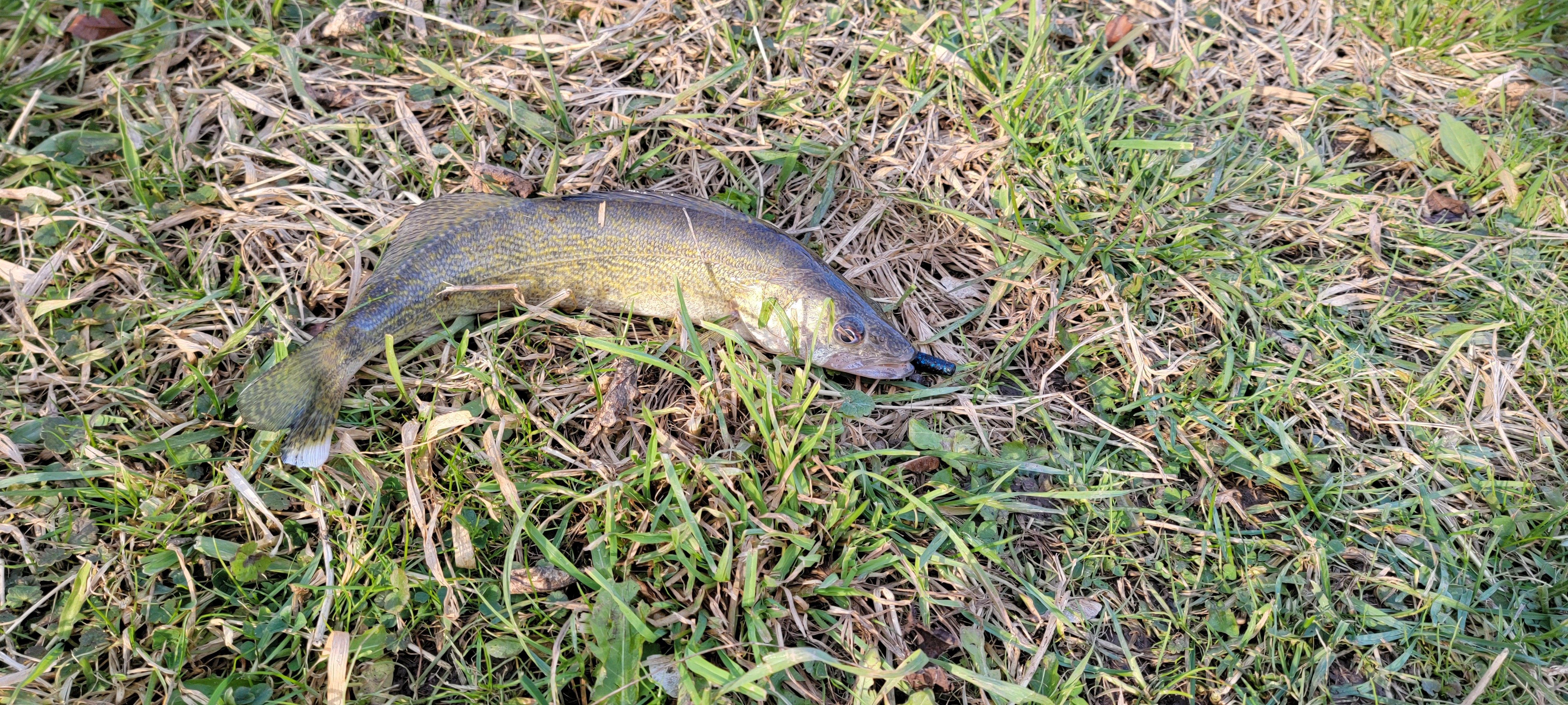 20251121_145256.jpg