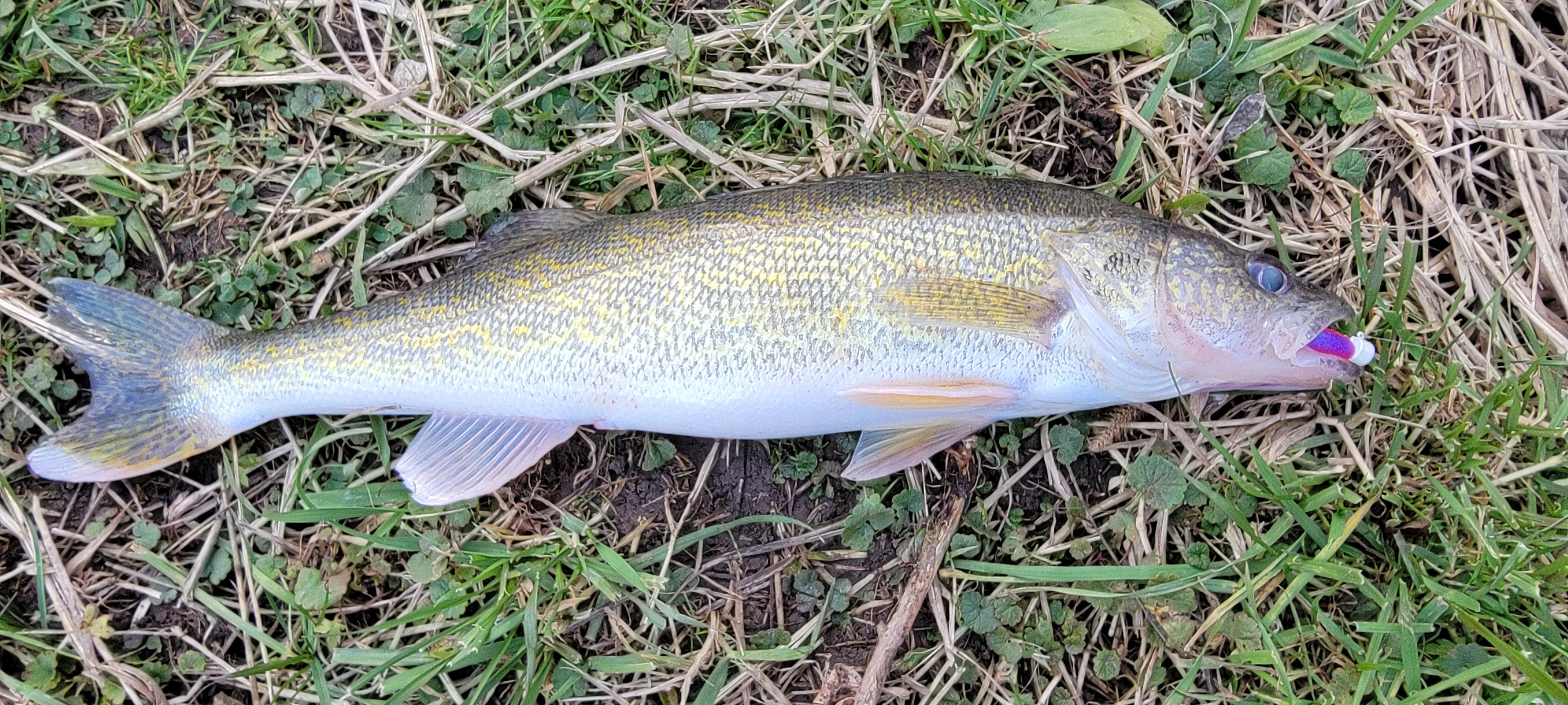 20251121_155459.jpg