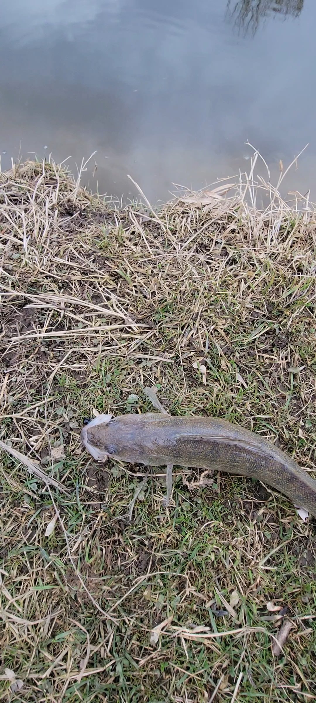 20260326_112957.jpg