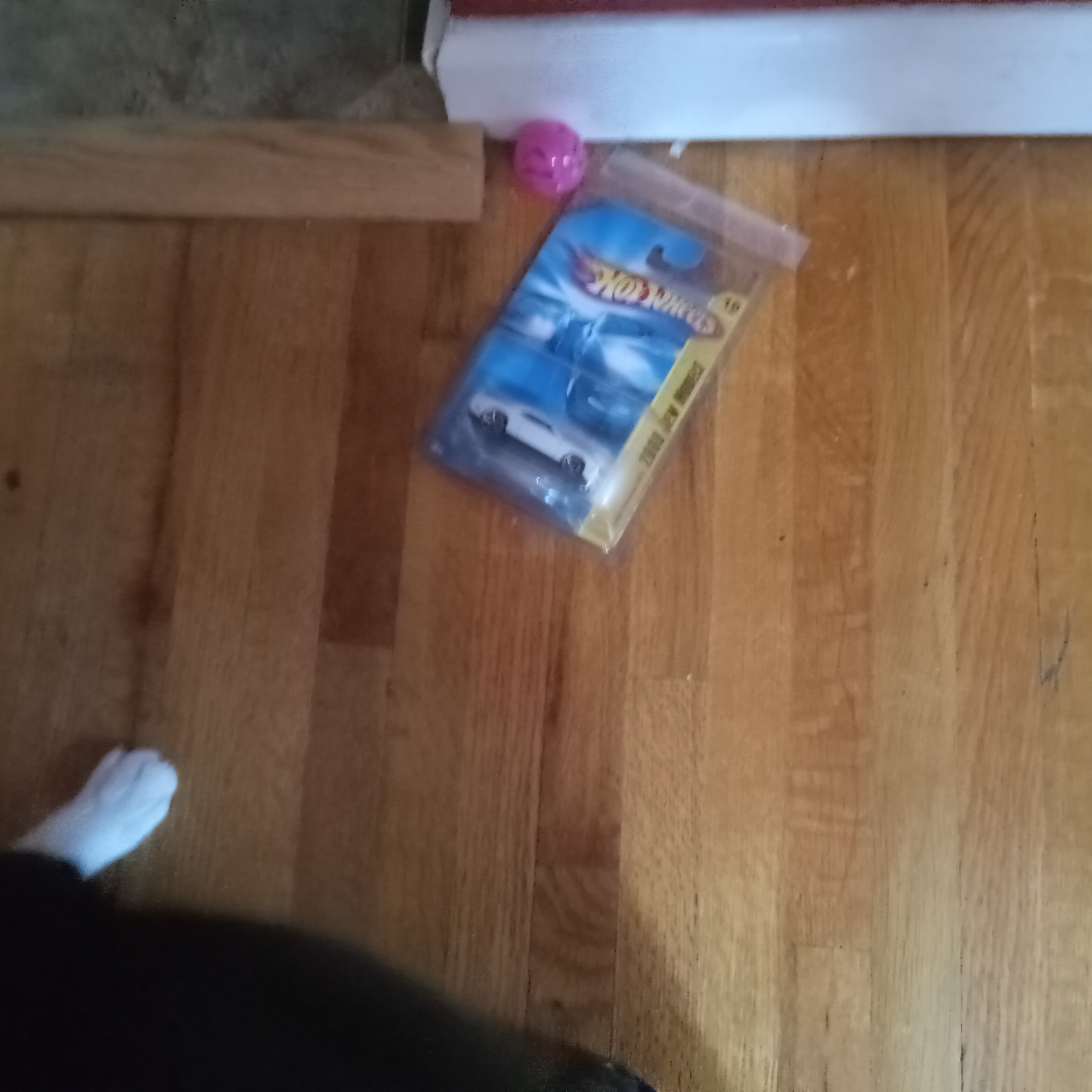 20260803_121704.jpg