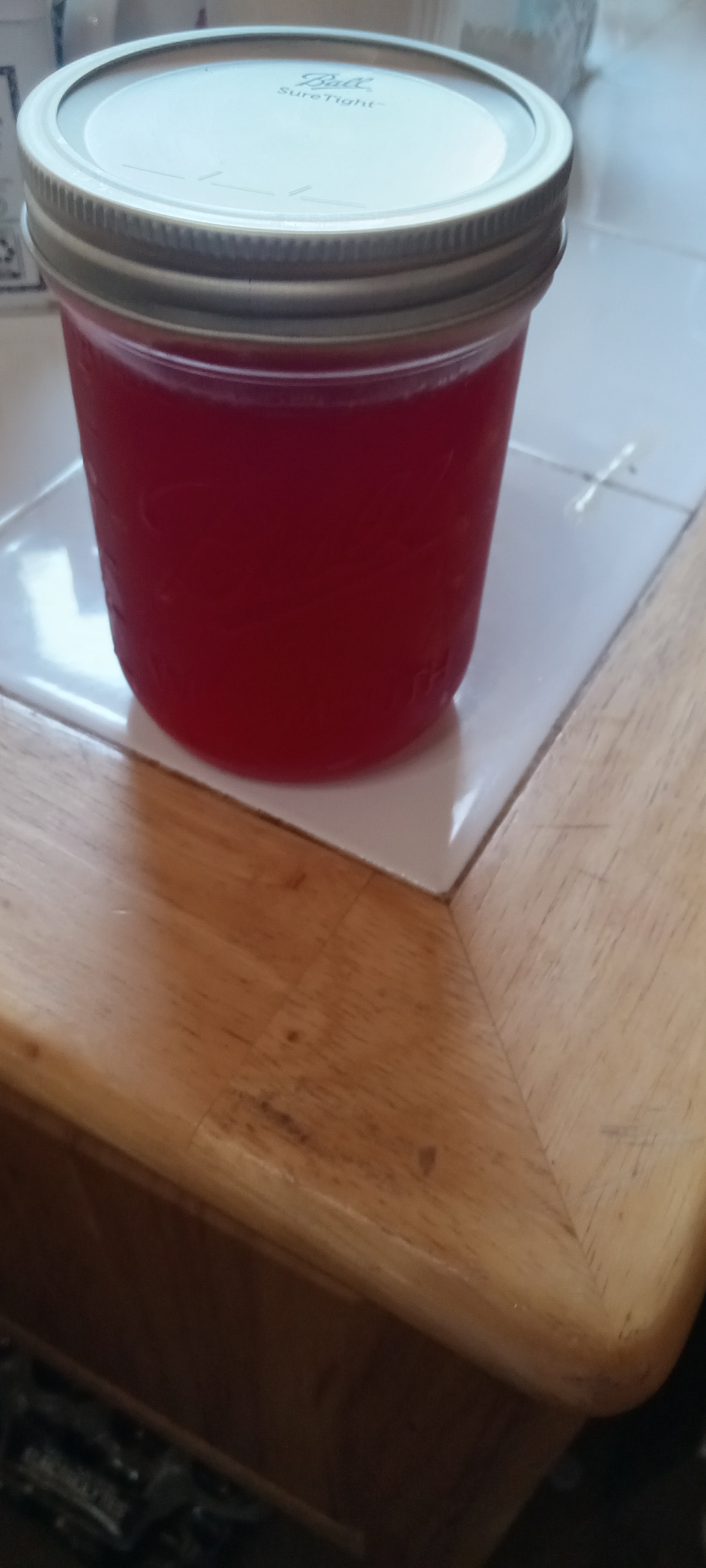 20260809_141243.jpg