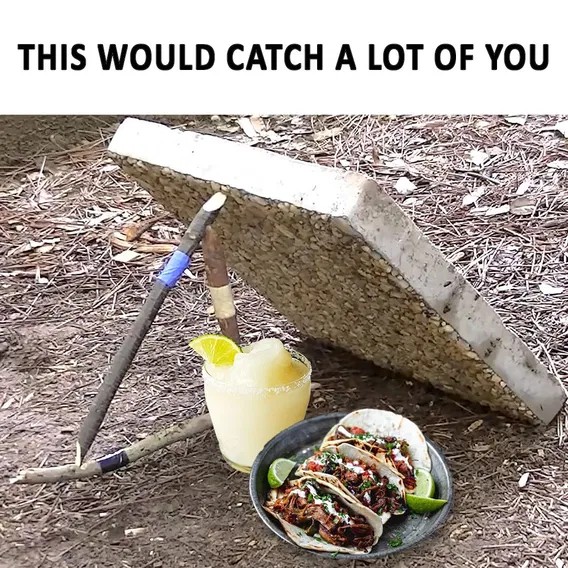 20356143bc6fefbbbff9c110d4d8a636.jpeg