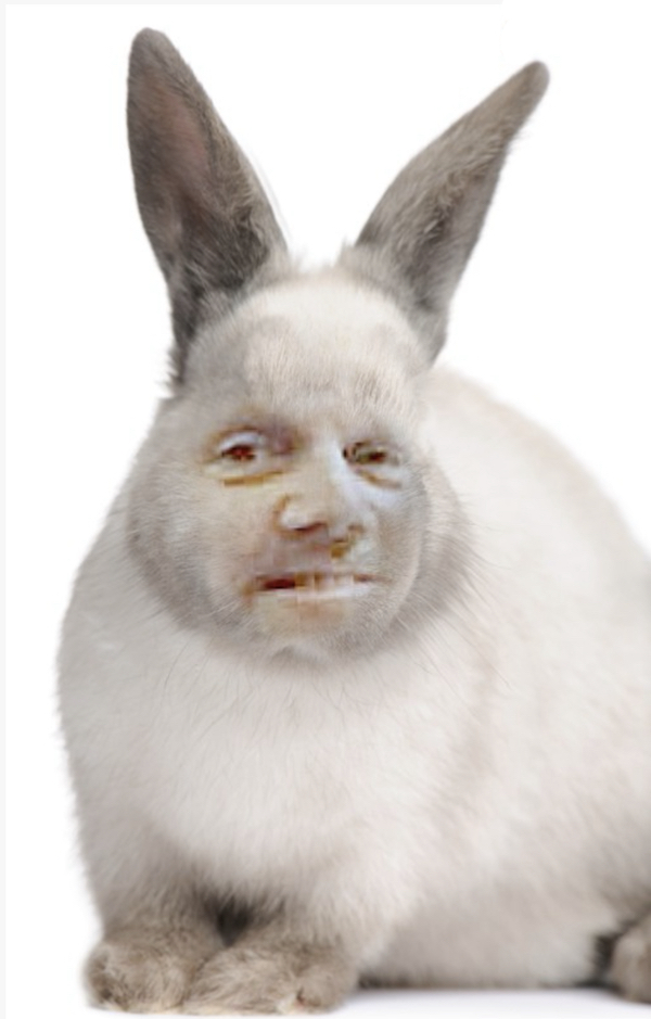 2BFFF593-94F1-430C-8196-F1B661D6E409.jpeg