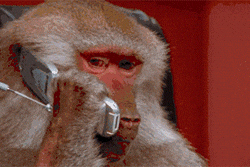 30588.gif