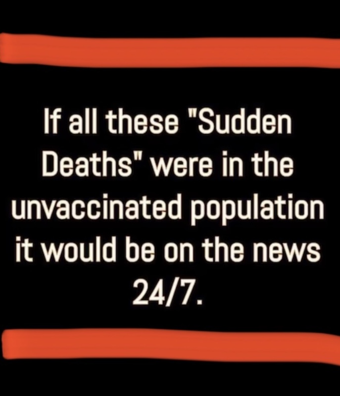 30D350B3-E11E-4DF2-8AFD-2FD11CE67D9A.jpeg