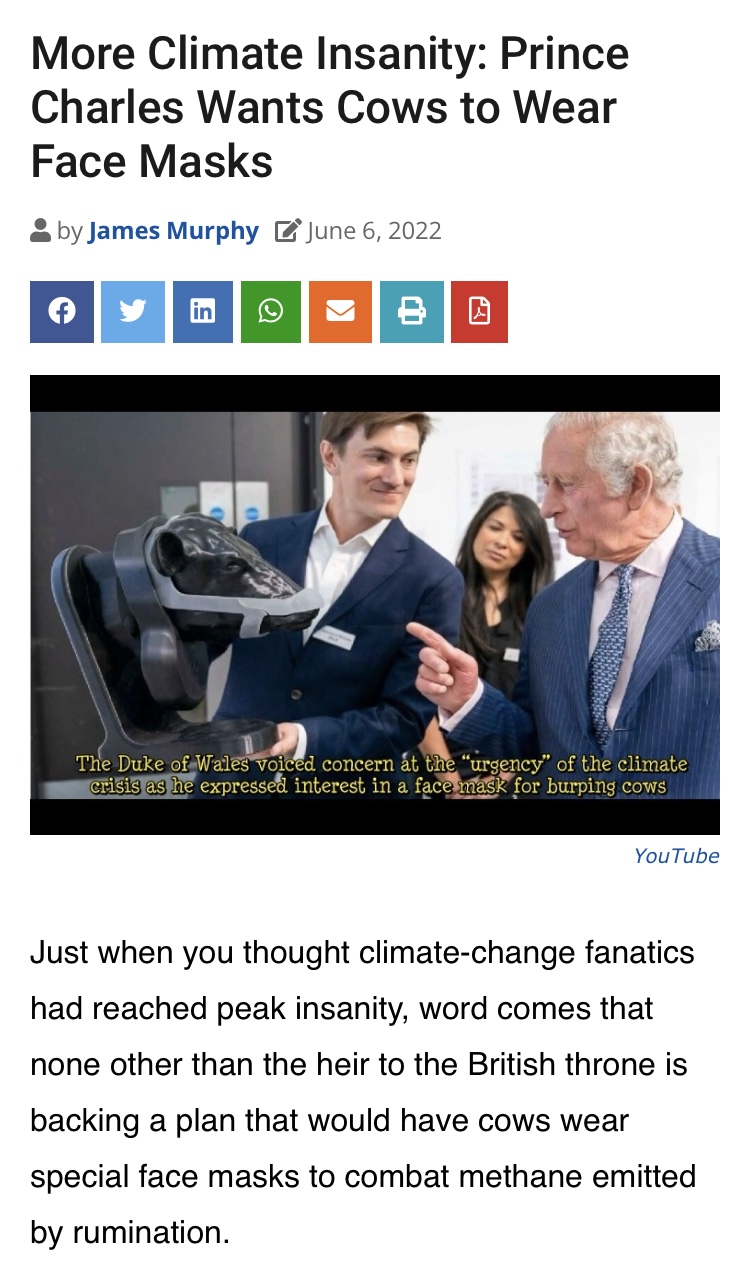 32F79B61-9B32-4F49-B759-F296998D84F6.jpeg