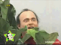 333.gif