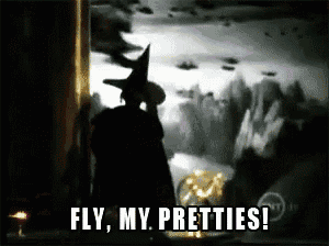 41611.gif