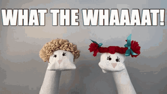 45013.gif