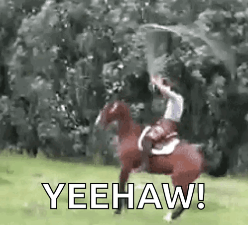 45074.gif