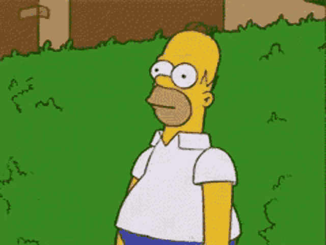 45139.gif