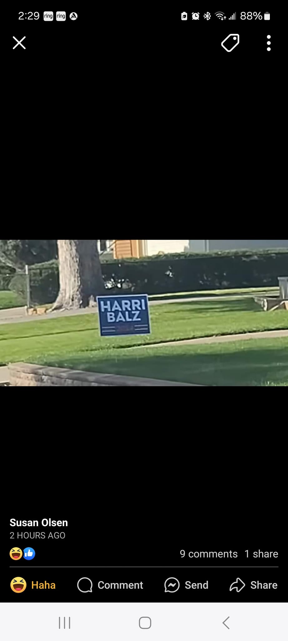 463398358_8505038849611277_2405603081443127011_n.jpg