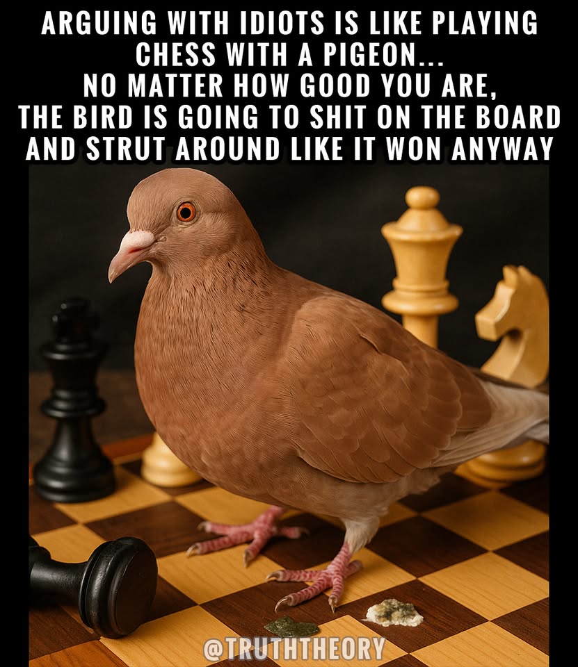 491751845_1074993197772333_8842402867772877663_n.jpg